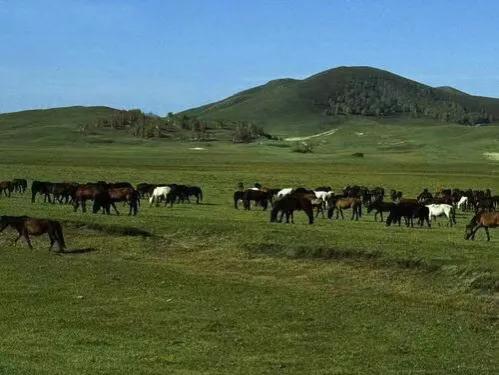 娼樺笗鏂泟楣颁笘鐣屾澂鍐宠禌,鍥為【娼樺笗鏂泟楣板緛鎴樹笘鐣屾澂