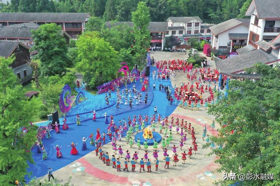 重庆日报特刊聚焦彭水：“九苗”归一兴苗乡“三品”合璧强产业