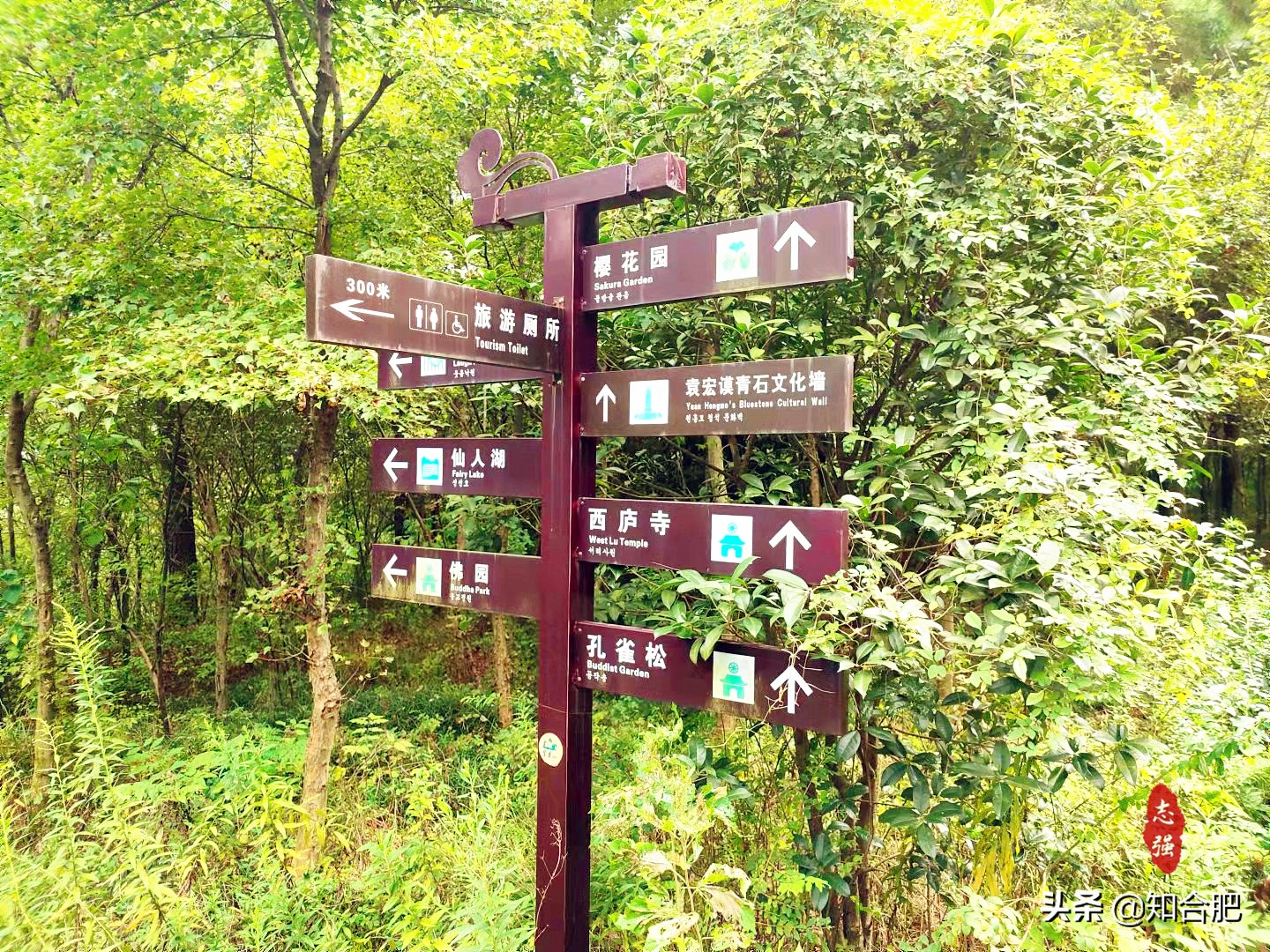 合肥有可能成为一个旅游城市吗,合肥旅游试点城市