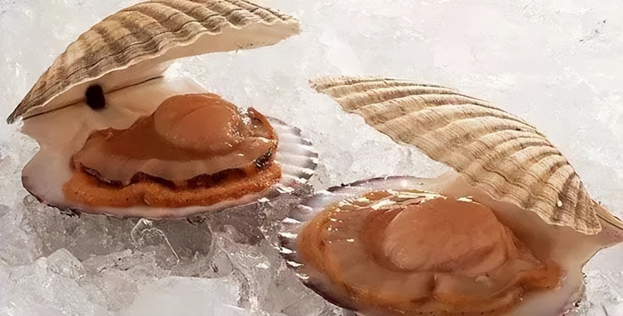 澳洲深海海鲜,澳洲海鲜如何挑选