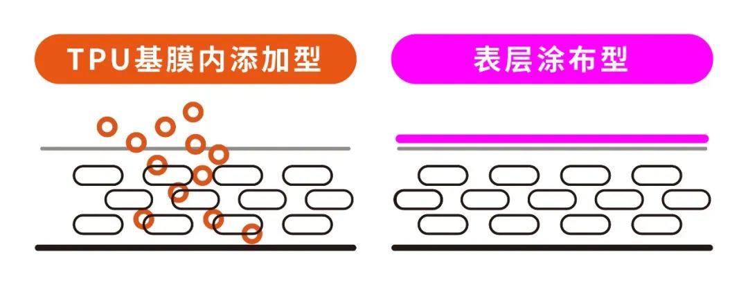膜一姐：解密新物种汽车天窗冰甲！火爆市场是智商税吗？