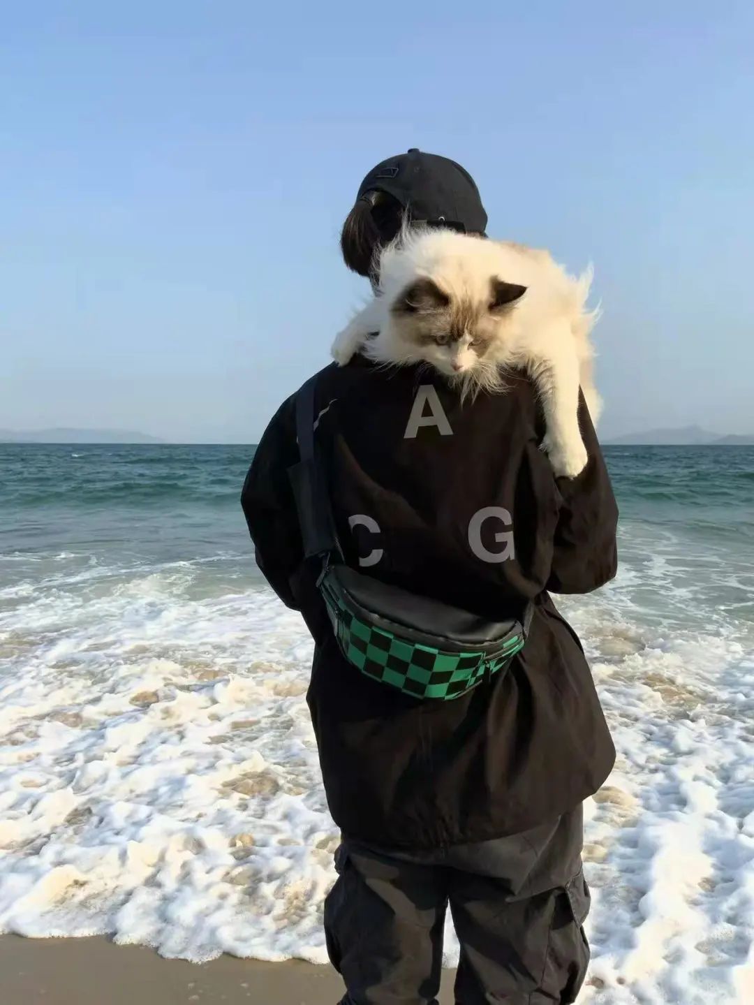 疫情下,深圳人搬家有多难:搬前被封控,两头交房租