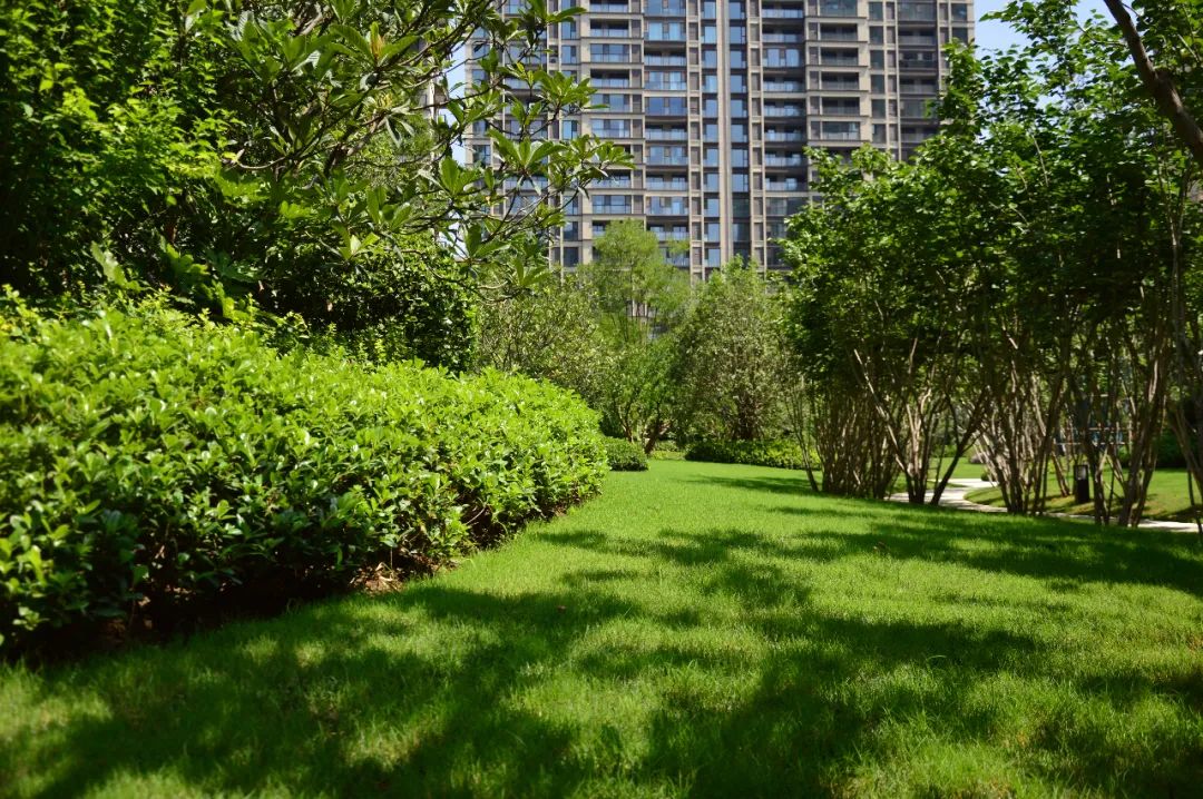 开封永威房产怎么样啊,永威置业在郑州最好的楼盘是哪