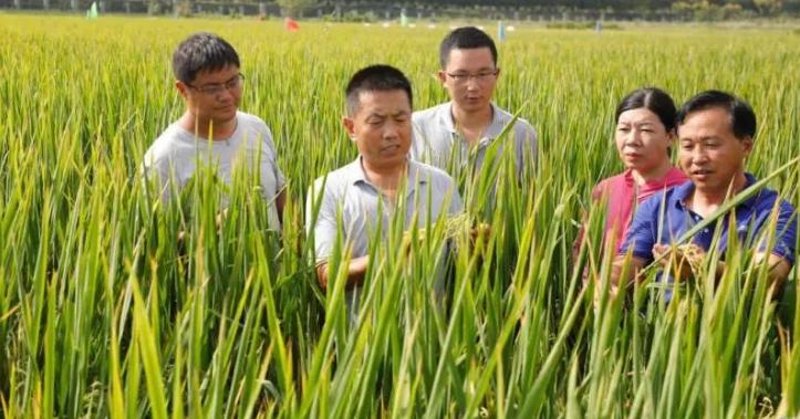 考研录取率连年攀升!长江大学神仙学院出圈:5个寝室全员上岸