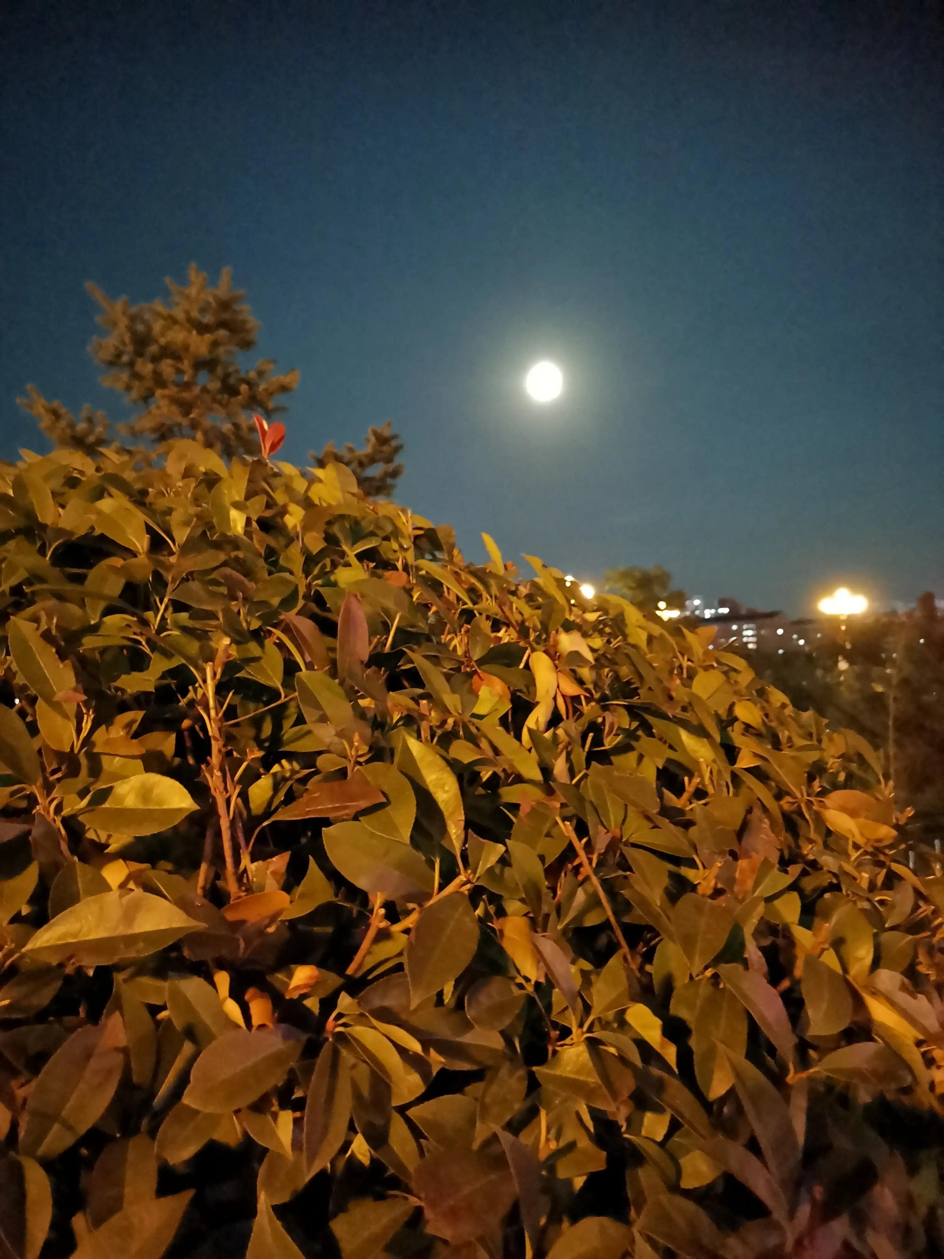 分享你拍下的最美月亮,中秋最美的月亮发朋友圈