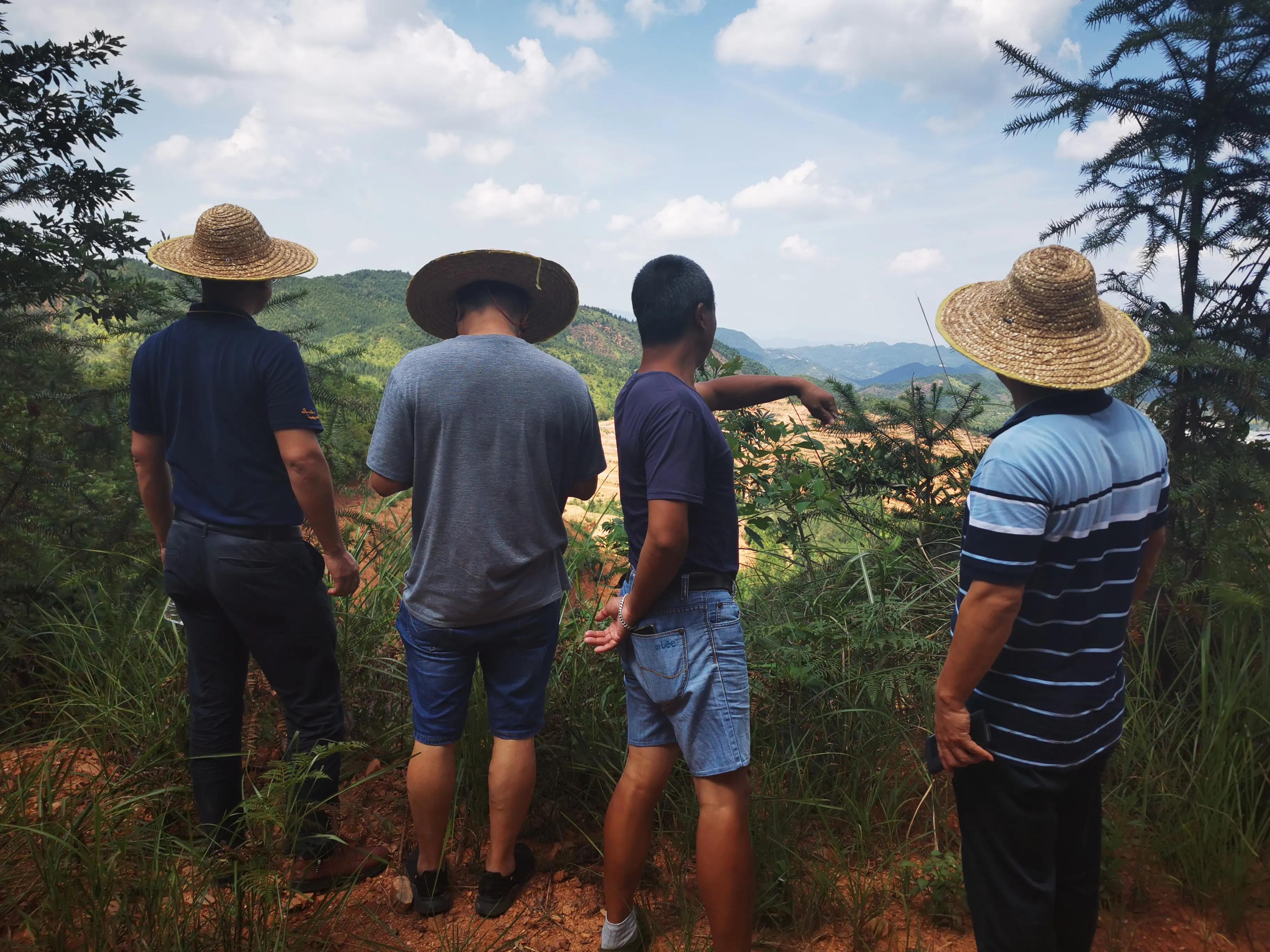 农村创业种植什么成本小,农村种植创业项目的10种常见骗局