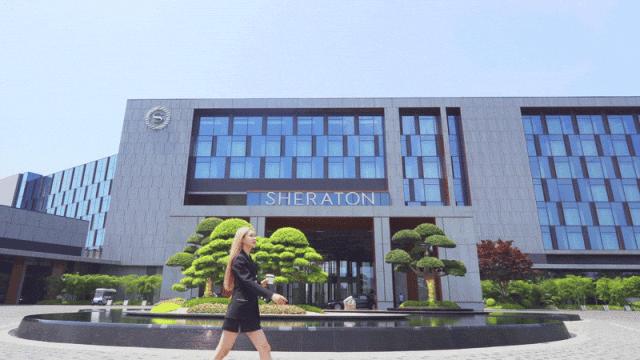 澶忔棩钘忓尶灏忚,澶忔棩钘忓尶