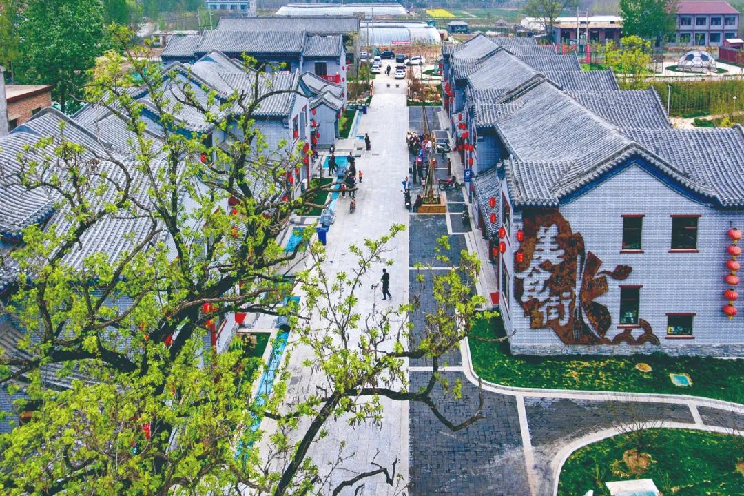 休闲农业与乡村旅游项目分析,休闲农业与乡村旅游什么时候开始