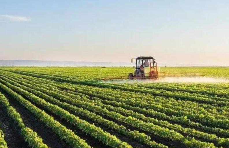 印尼面积人口对比中国,印尼人口经济军事概况