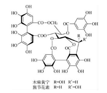 鞣质草药,黄芪的主要成分为鞣质和挥发油