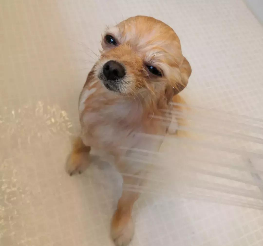 五个让你变丑的坏习惯,10个变丑的坏习惯你占几个