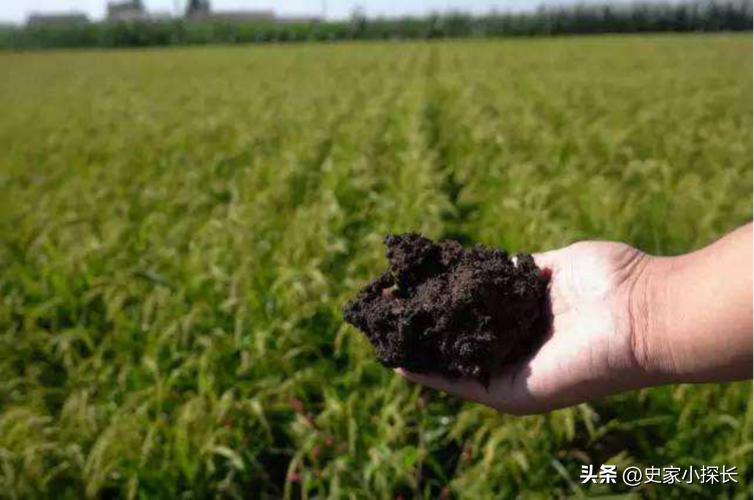 俄罗斯害怕外星人吗,俄罗斯在西伯利亚有什么秘密