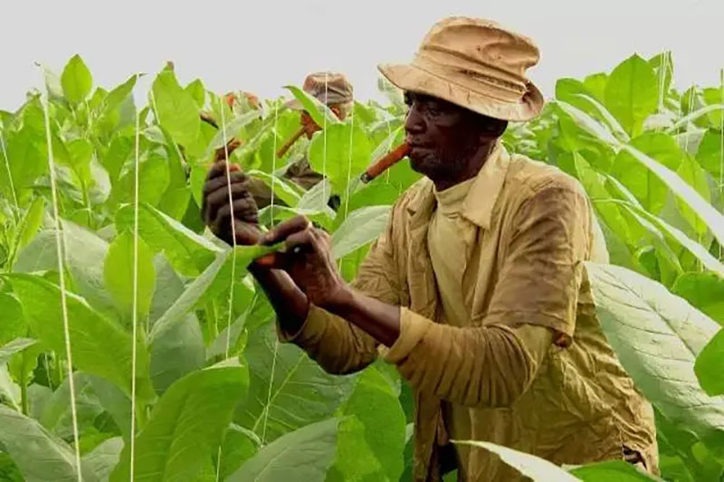 我国绝版老香烟能抽吗,我国绝版香烟见过一种说明你老了