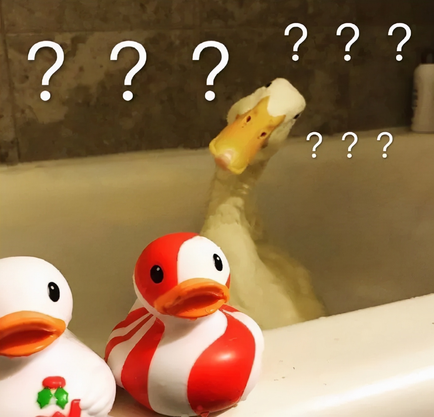 新年当然是穿红色最应景！不过节也想穿