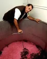 顶流葡萄酒,王牧笛法国尼斯