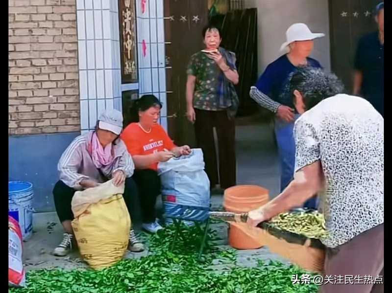 迈尔标普.鸿赢中药材种植基地被授予航空助农乡村振兴联建基地