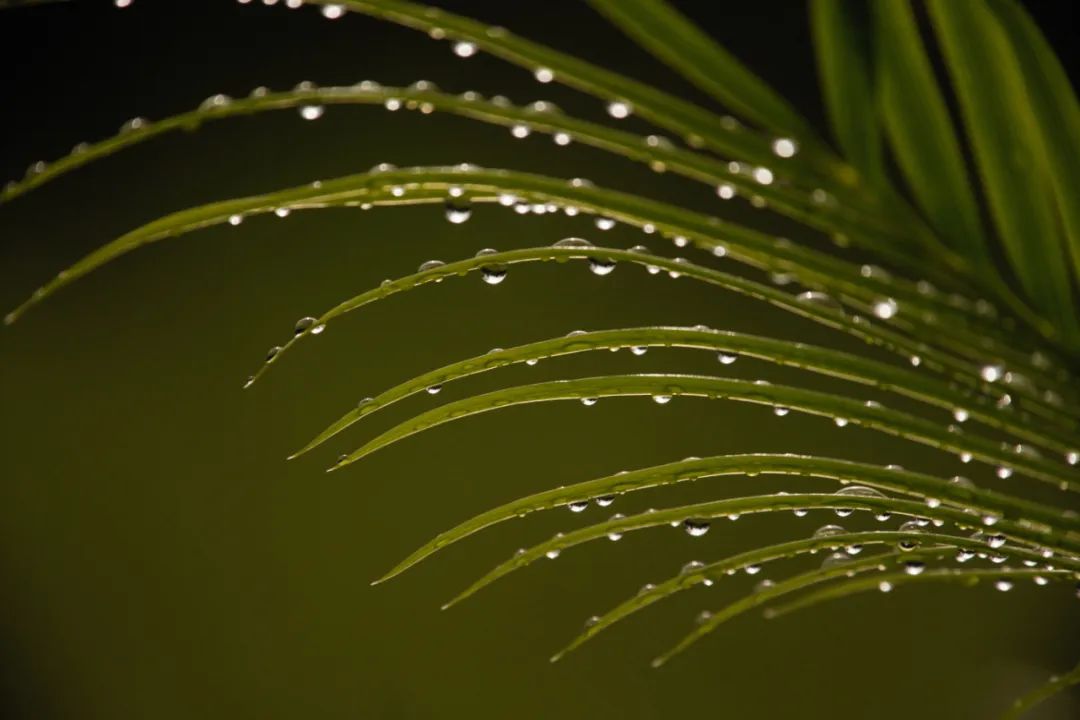 全国播音与主持艺术专业大学排名,播音与主持艺术专业院校排行