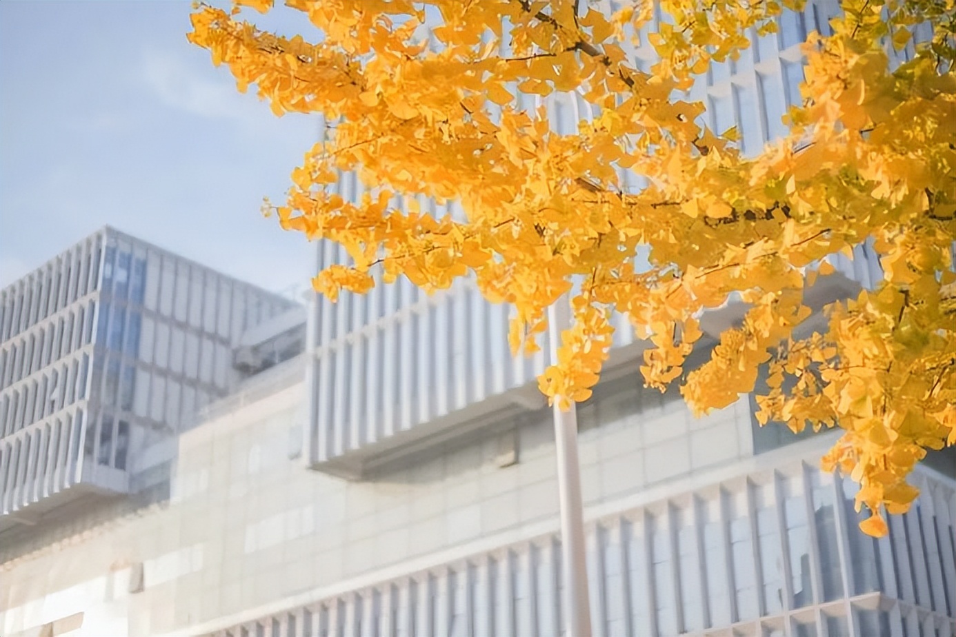 这群北京青年“火”了！登上央视、留学世界名校、勇夺全国冠军，来自同所大学