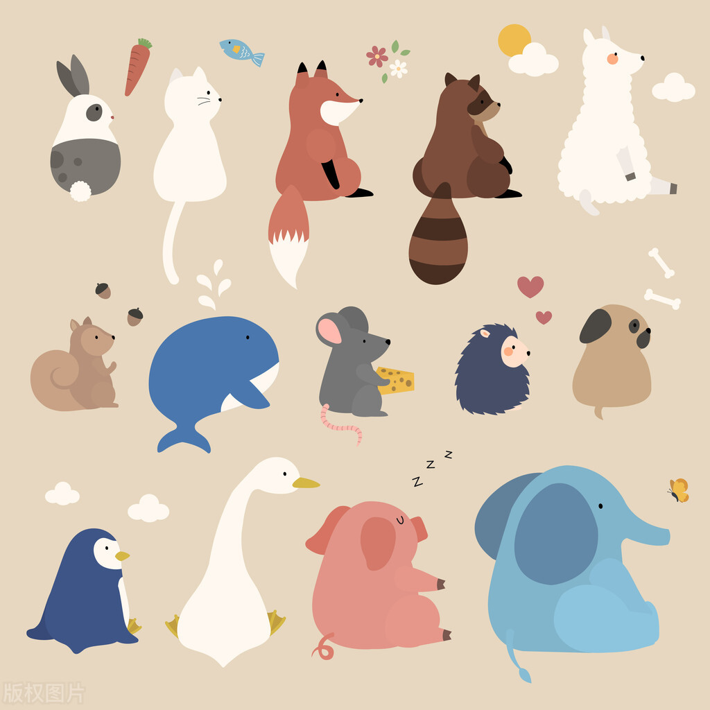 小学英语词汇分类,小学英语词汇归类复习