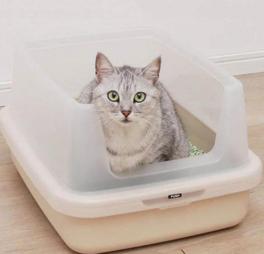 三天没铲屎猫咪会生病吗,小猫咪便秘了拉稀屎怎么办