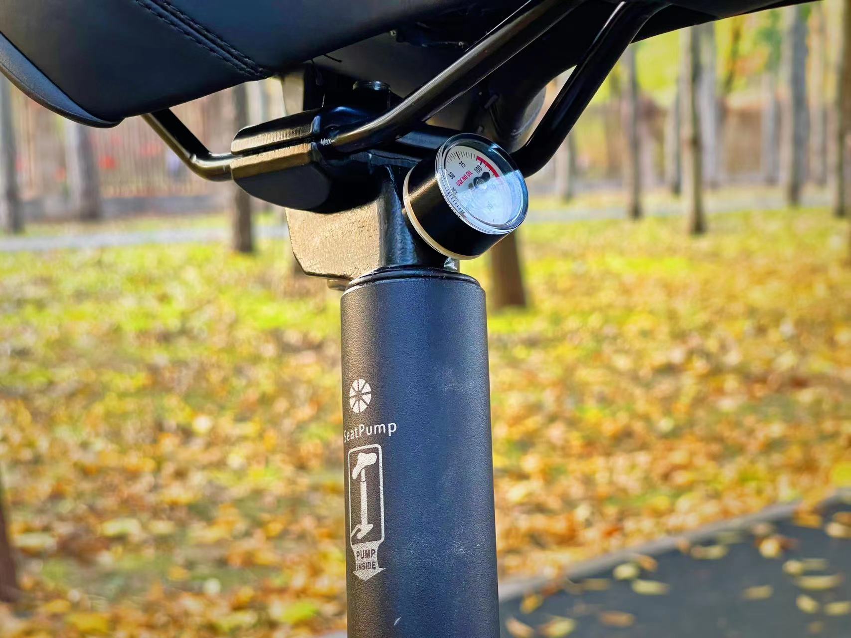 dahon大行16英寸,dahonp8折叠自行车和p8青春版