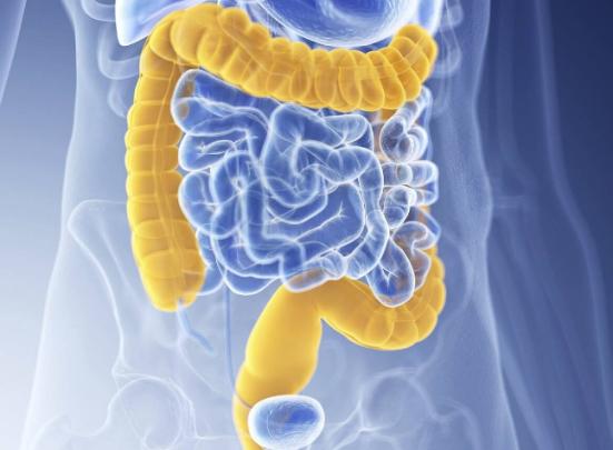 出门后回家应该怎么消毒,菊花的卫生怎么注意