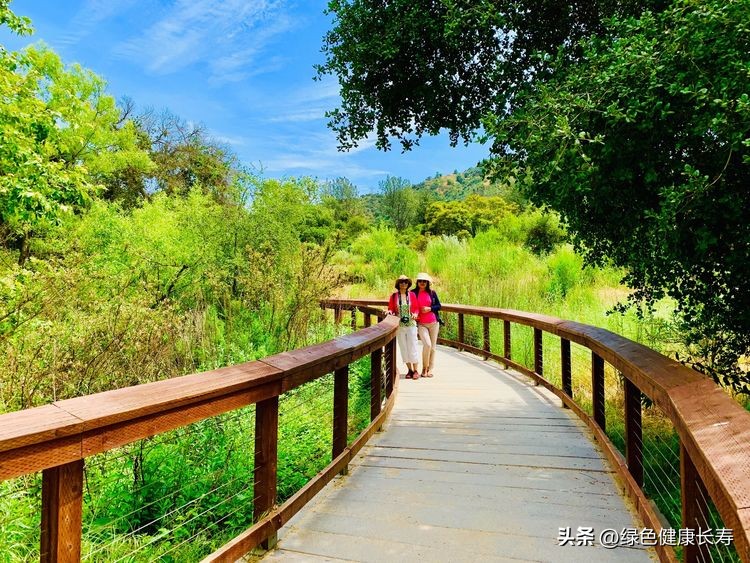 世界花园风景,世界花园