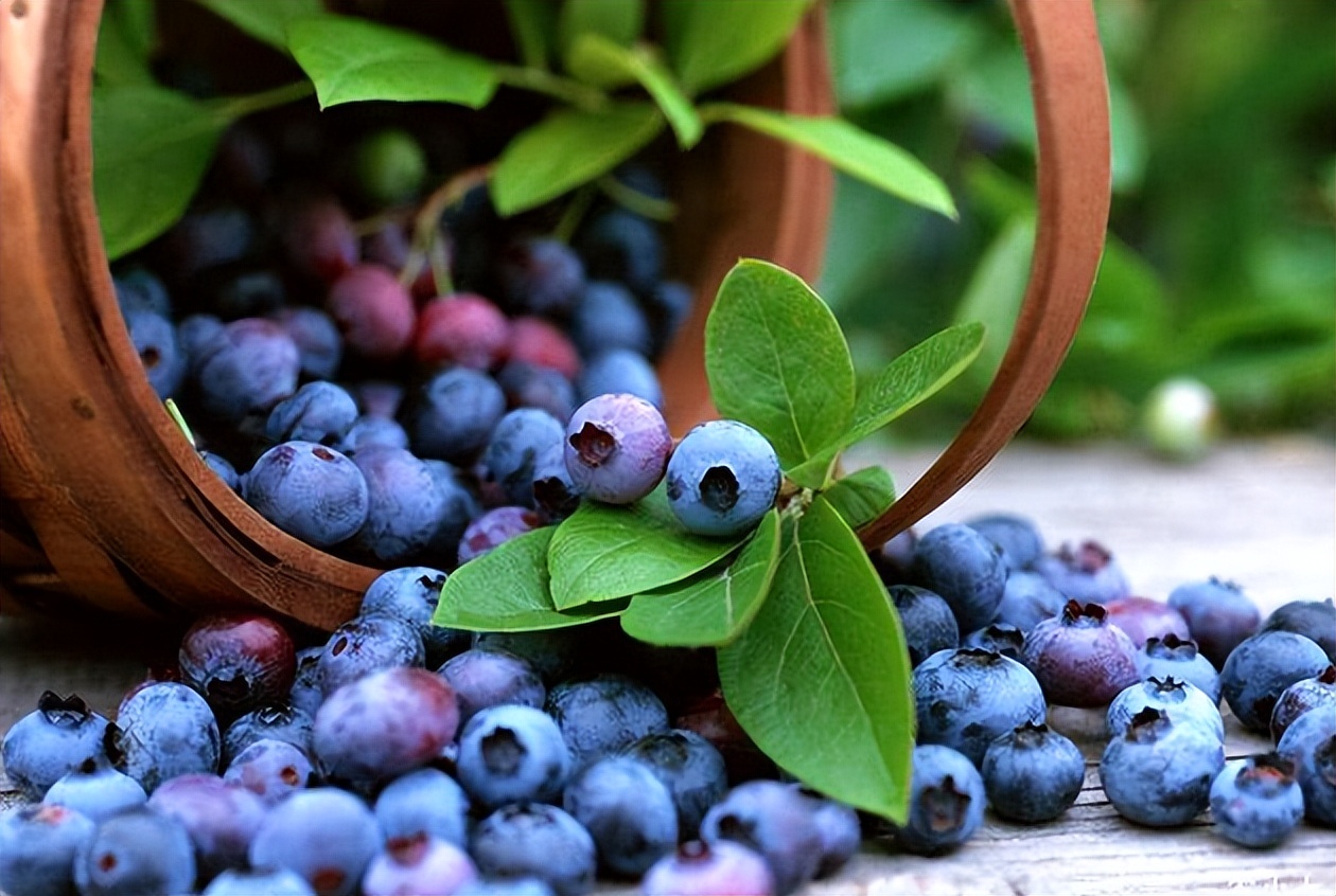 8种食物让女人面色红润,改善气色适合中年人吃的食物