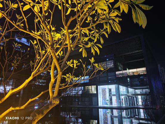 小米6该不该换小米12,小米12测评原神