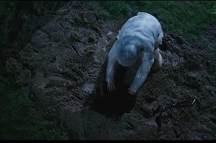 这个男人有点狠小说,这个男人有点狠完整版