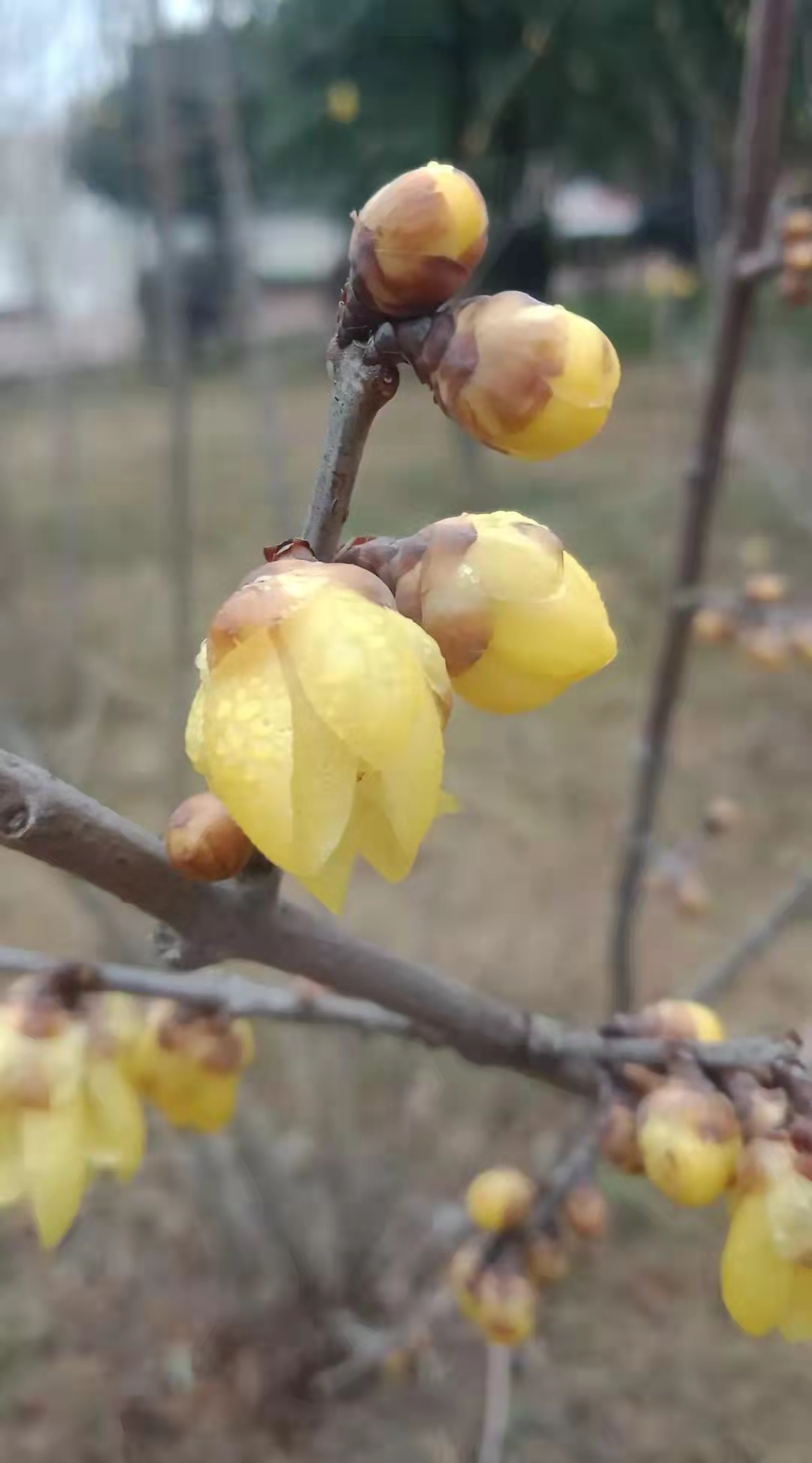 电脑启动有一个小棍在转,电脑开机有个小杠