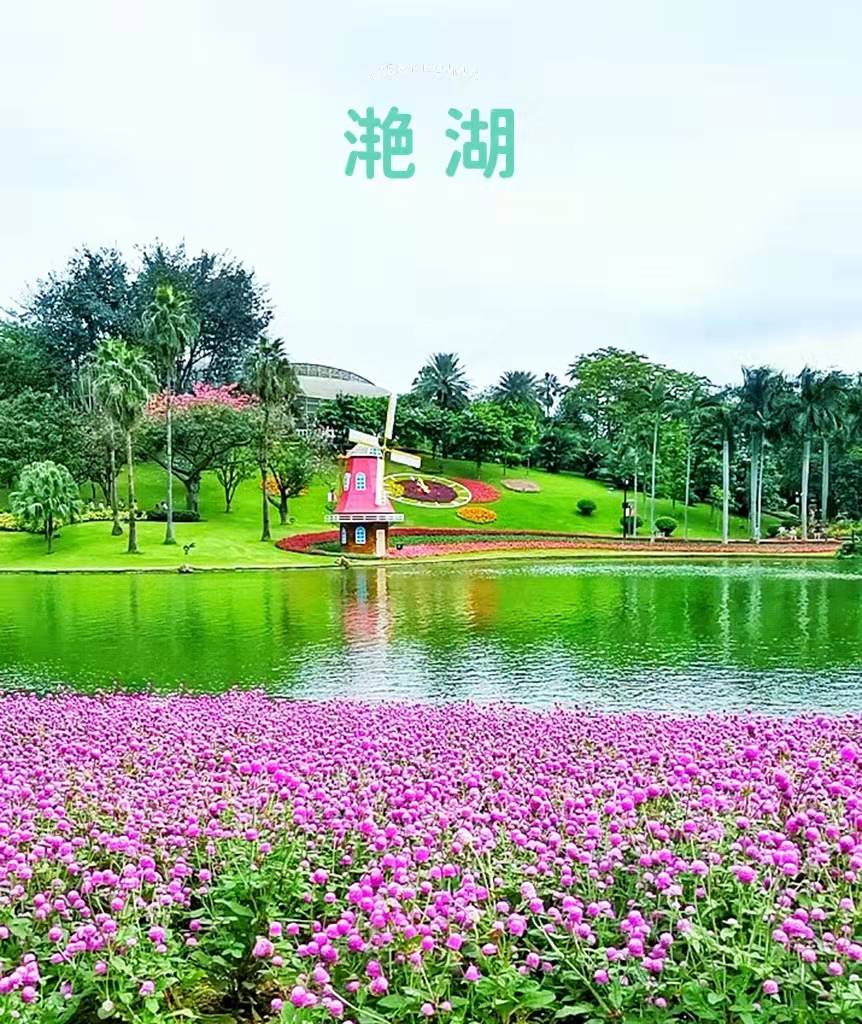 广州云台花园在哪里,广州云台花园别墅