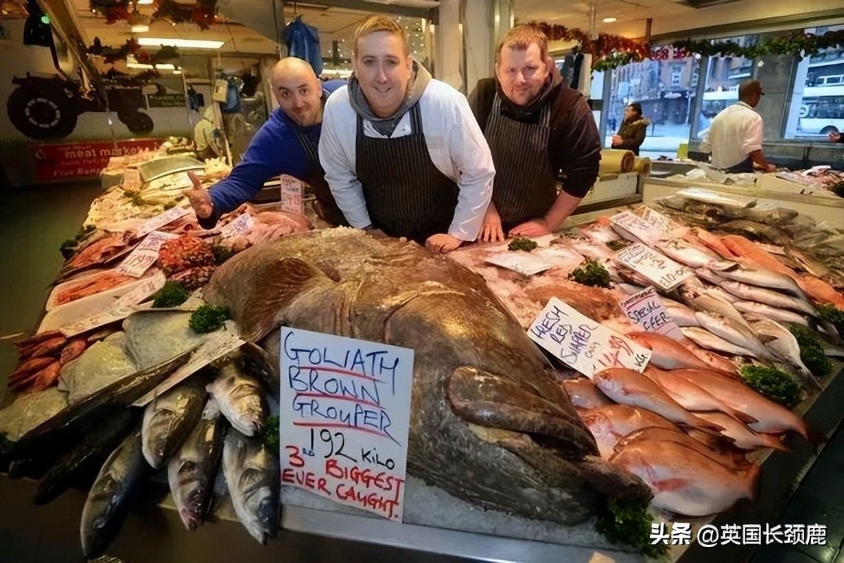 在英国怎么在网上买东西,英国海鲜刺身哪里买