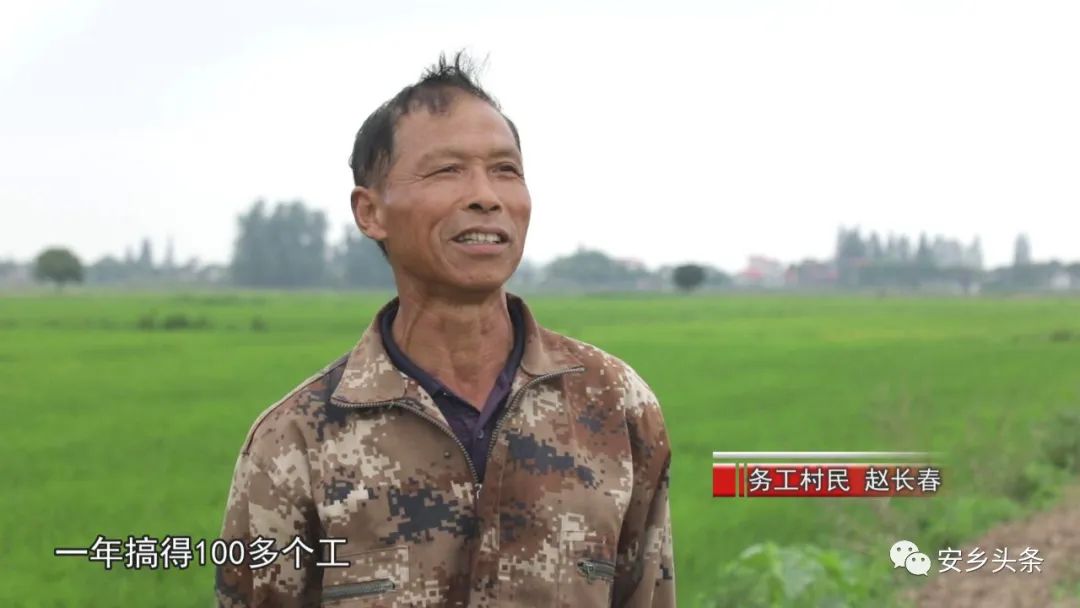 退伍回乡当村干带动百姓致富,优秀士兵回乡创业