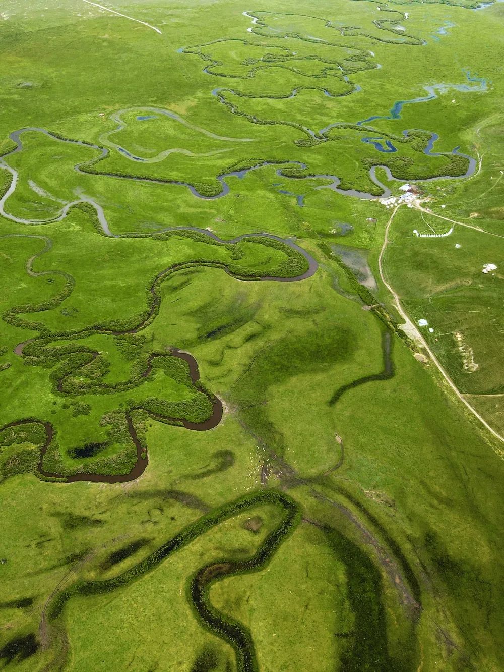 攻略｜锡林郭勒“醉”美草原沉浸之旅