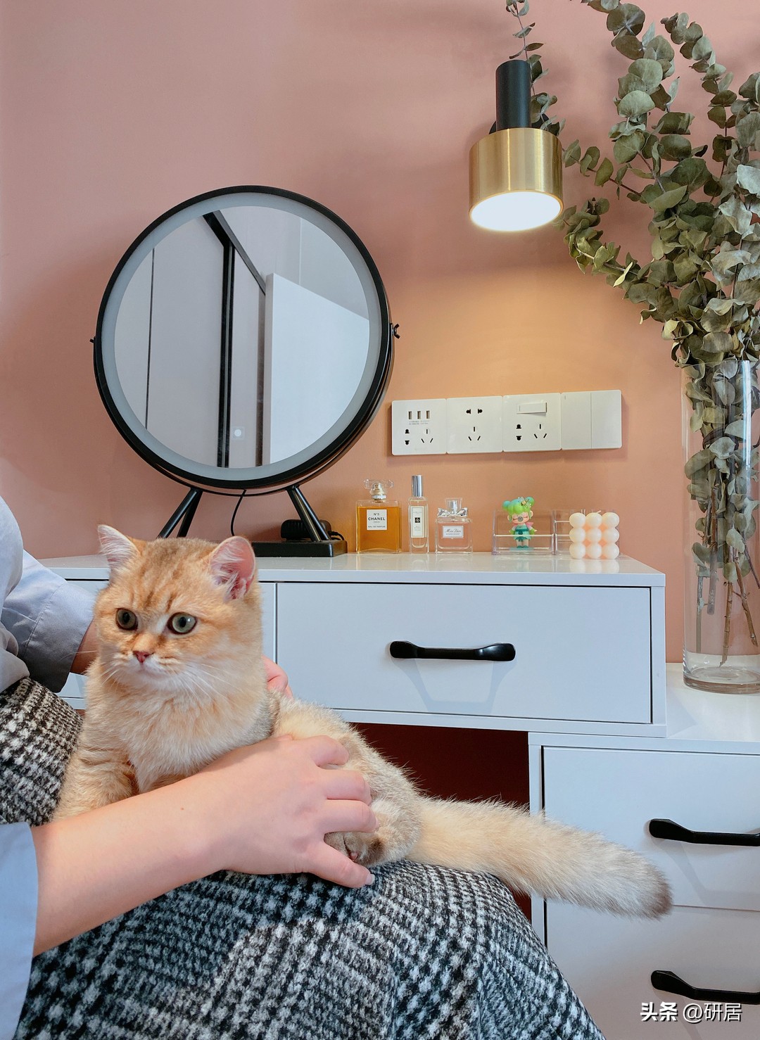 卧室厨房一体收纳,出租房厨房收纳空间改造