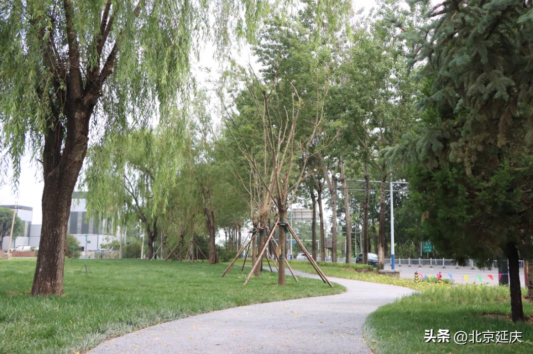 延庆米黄路,延庆米黄路加宽扩建项目