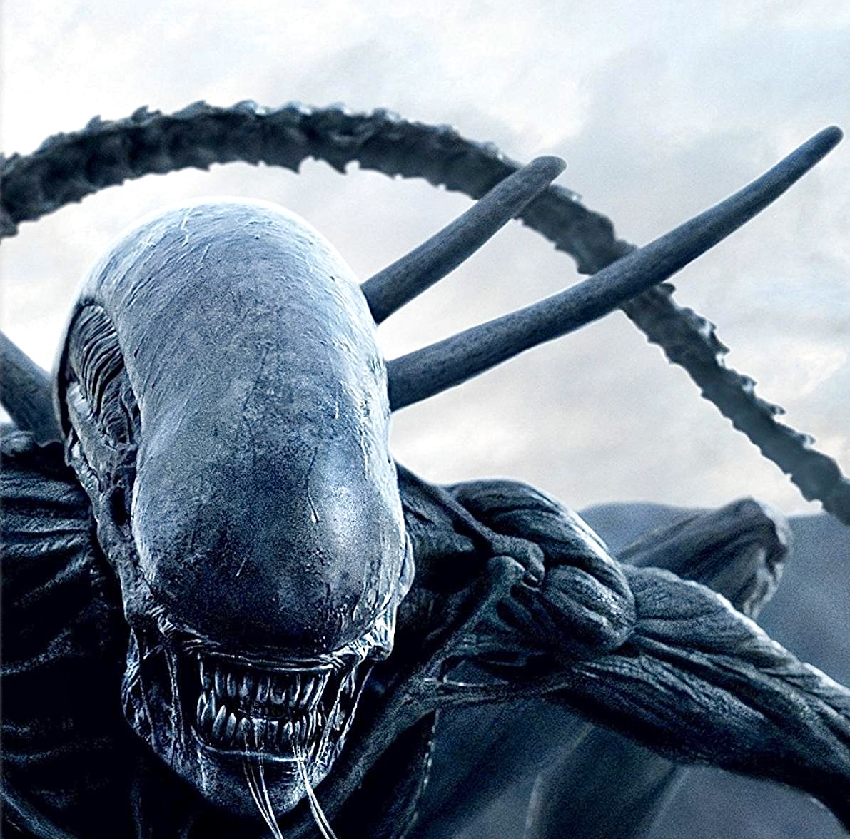 普罗米修斯发展史,普罗米修斯维兰德档案