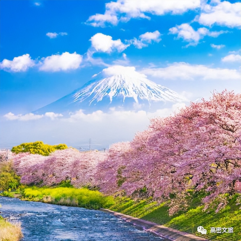 潍坊创建“东亚文化之都”|我们向已获得“东亚文化之都”的城市学什么？（十七）