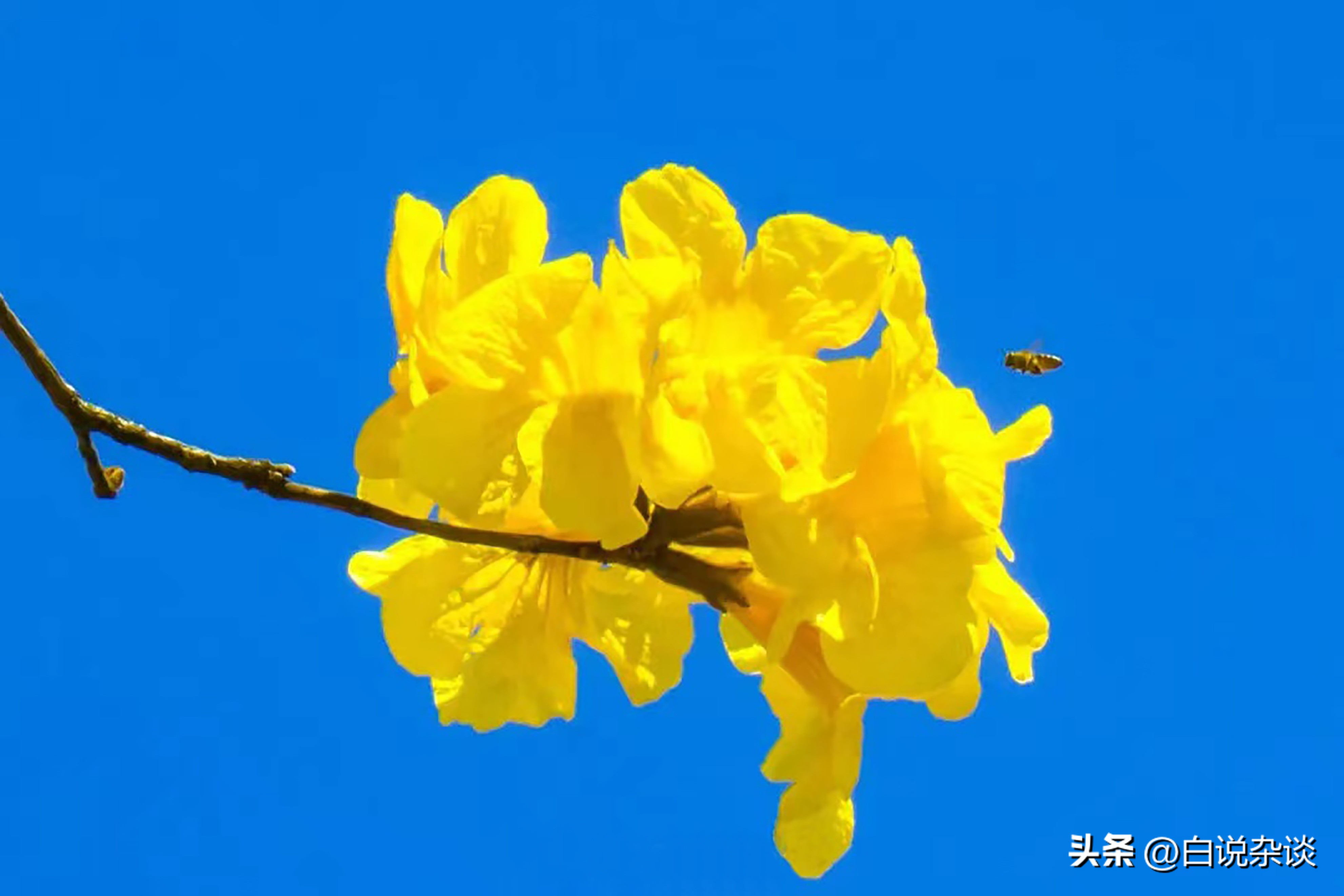 选专科学校的出路,专科学校出来真的有出路吗