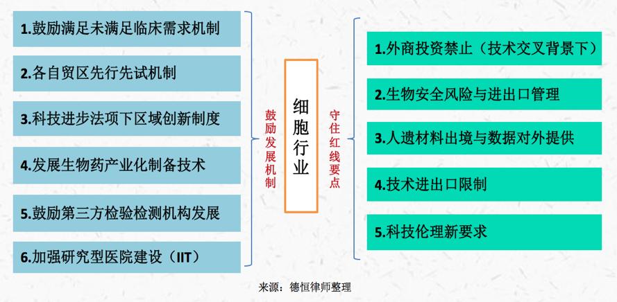 体细胞免疫疗法,体细胞治疗