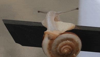 什么是优秀的幼师,什么是优秀的幼儿教师