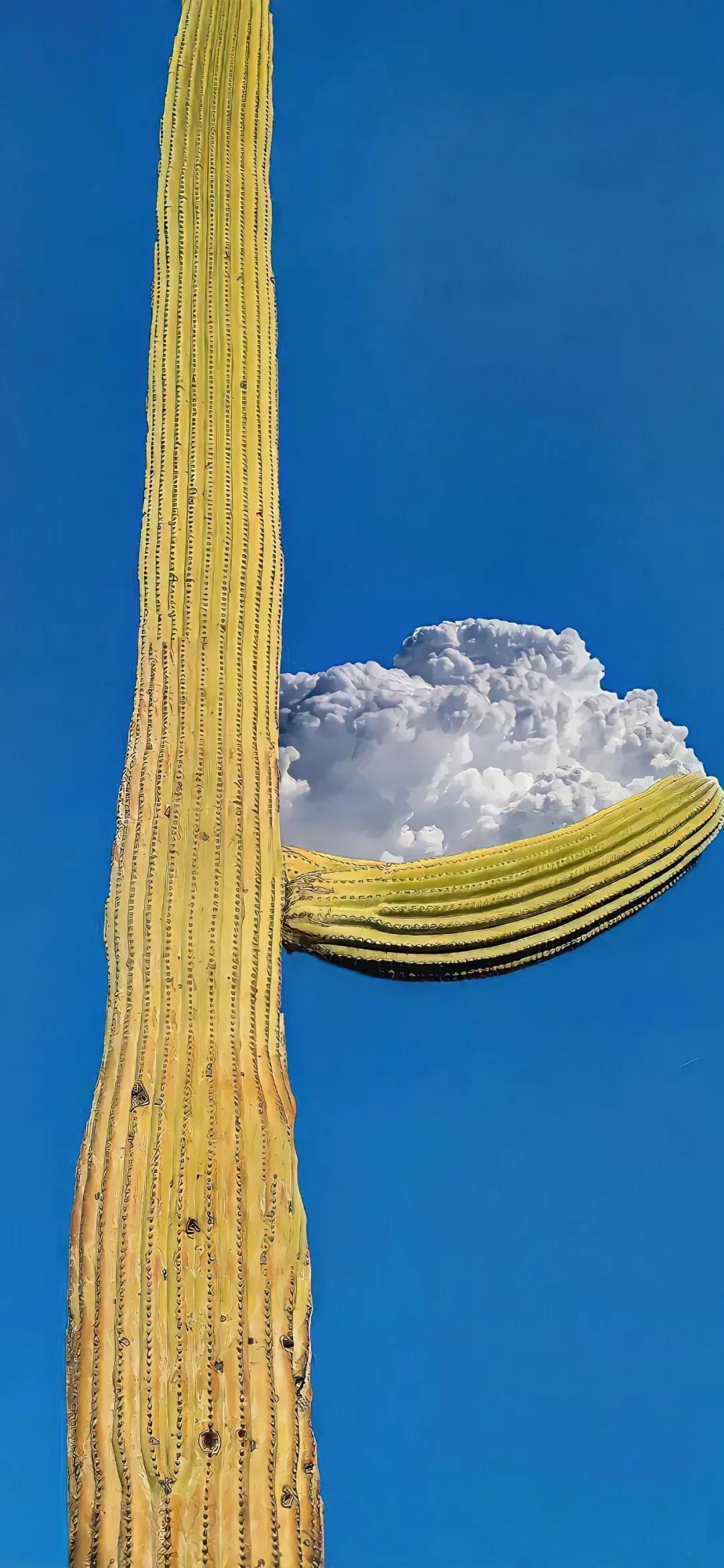 马伊琍手机壁纸,马伊琍全屏手机壁纸