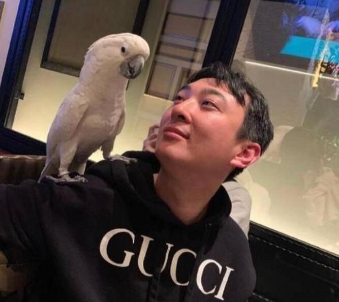 王思聪再被限制,王思聪被解除限制了吗