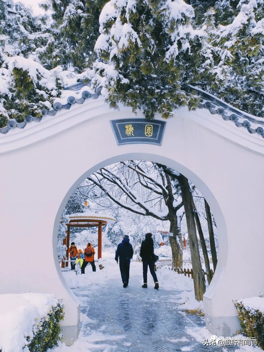 大连劳动公园相亲角,大连劳动公园唱歌的