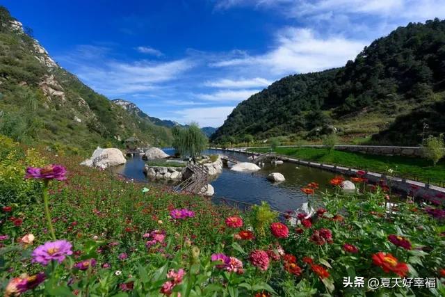 漫山花溪谷怎么样,灵寿县漫山花溪谷