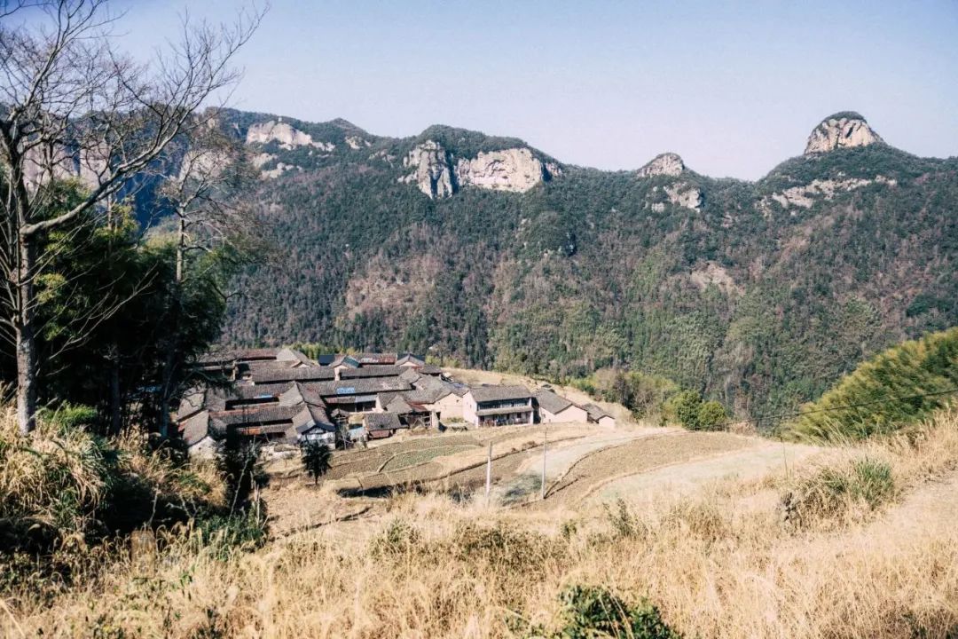 鍏泜绉樺,浠欏眳鍏泜绉樺