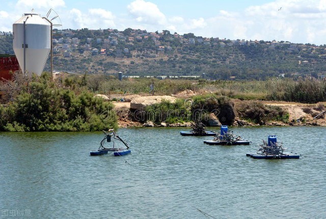 农村养殖罗非最有前景,养殖创业记录视频