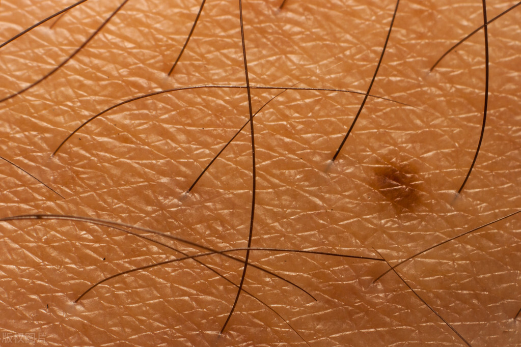 男士液体毛要怎么修剪,男人怎么修剪身上的毛毛