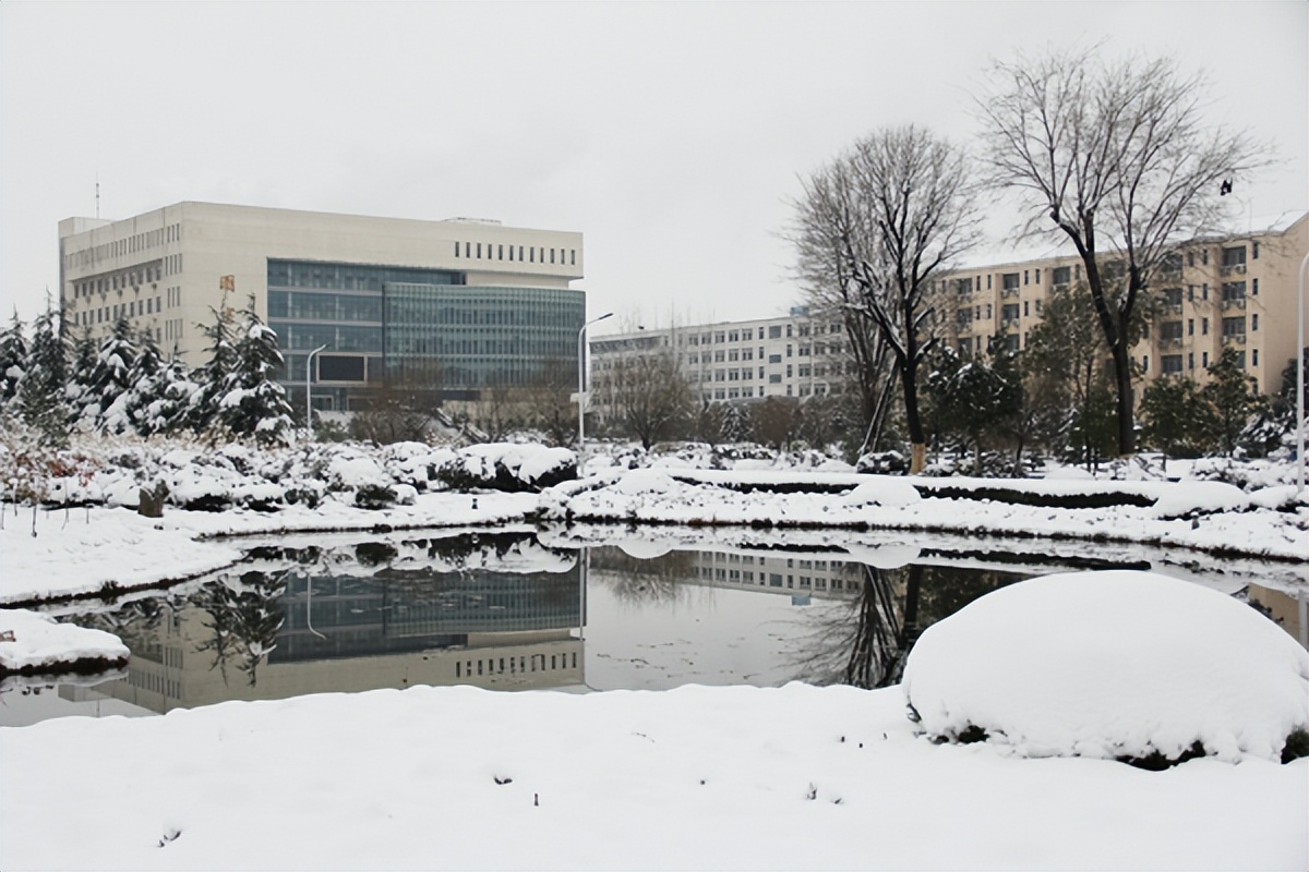 合肥师范学院是什么专业,合肥师范学院前身